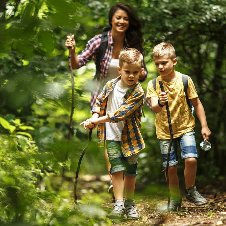 Drei Personen gehen auf einem Waldweg; zwei Kinder tragen Rucksäcke und halten Wanderstöcke, eine erwachsene Person folgt ihnen zwischen dichtem Grün.