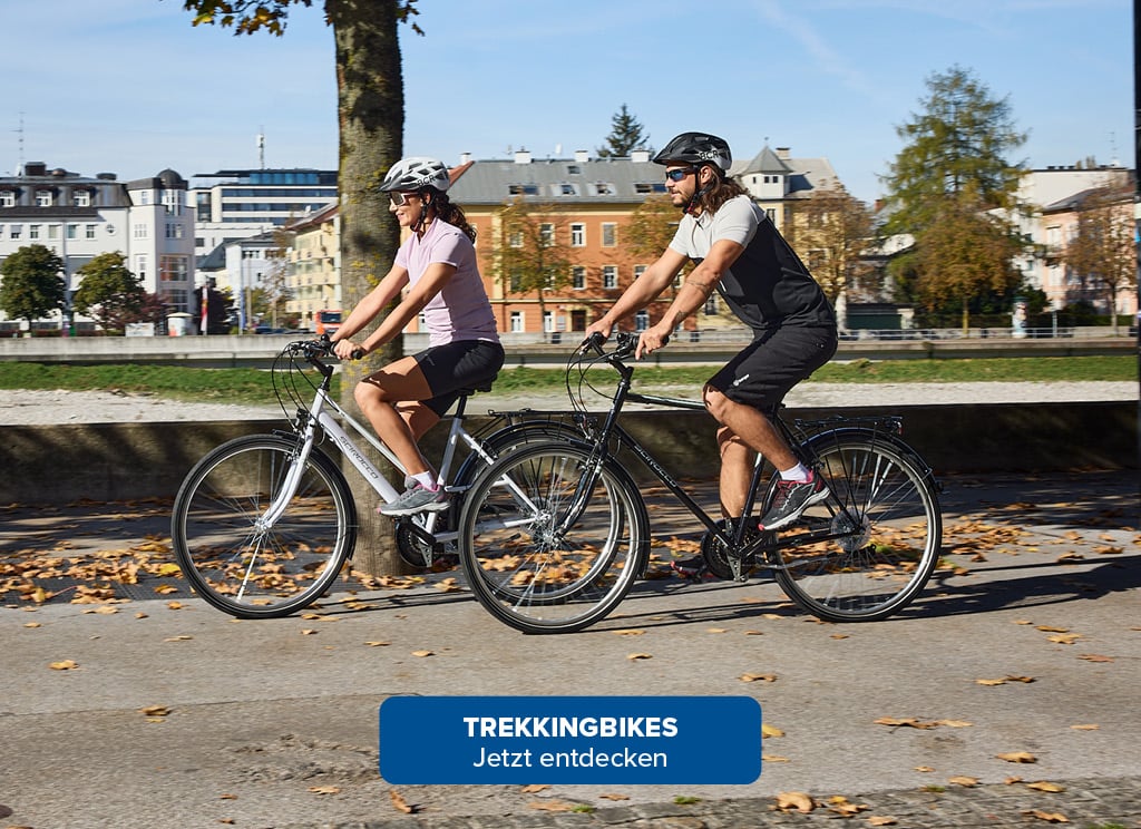 Trekkingbikes. Jetzt entdecken.