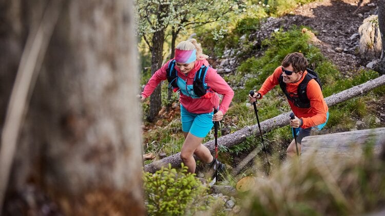 Zwei Personen wandern mit Trekkingstöcken und Rucksäcken auf einem unebenen Waldpfad mit Felsen und Vegetation; ein umgestürzter Baum liegt quer über dem Weg, umgeben von dichter grüner Vegetation