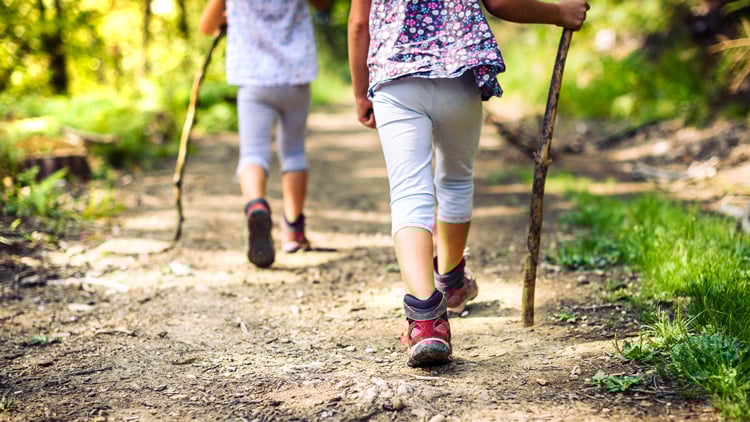 zwei Kinder wandern mit Wanderschuhe und Stöcken durch einen Waldweg