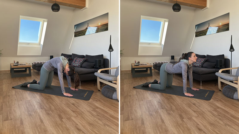 Person demonstriert auf einer Yogamatte im Wohnzimmer die Katze-Kuh-Yogaübung. In der ersten Position (Katze) ist der Rücken nach oben gewölbt und das Kinn zur Brust gezogen. In der zweiten Position (Kuh) ist der Rücken durchgebogen, das Becken angehoben und der Blick nach vorne gerichtet