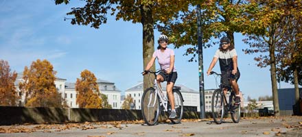 Leichte Fahrrder Fr Damen