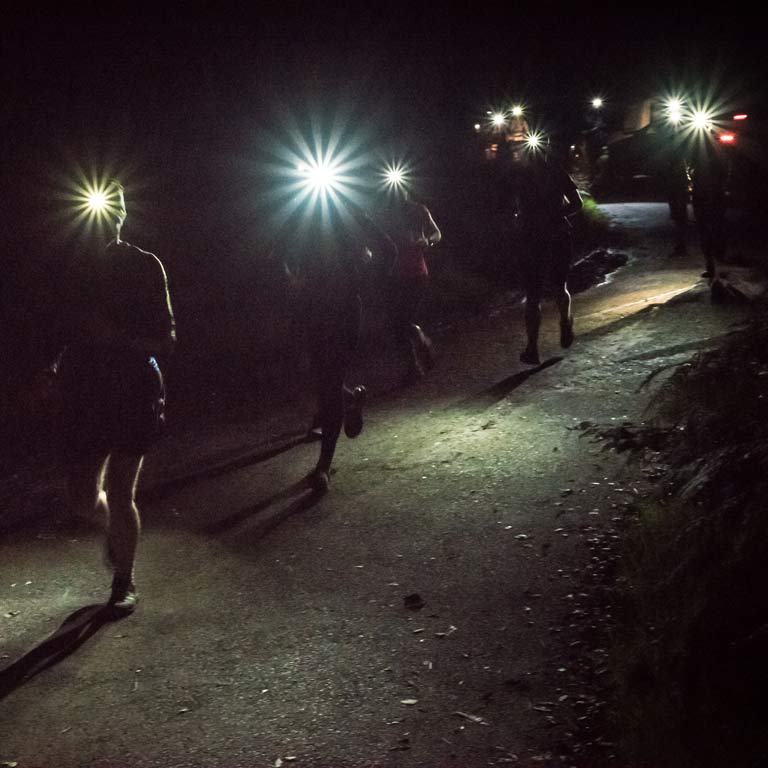 at_category_plp_sportwelt_running_stirnlampen_Winter_2022_smartdesk.jpg