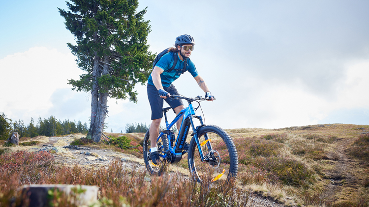 Mountainbike-Trails