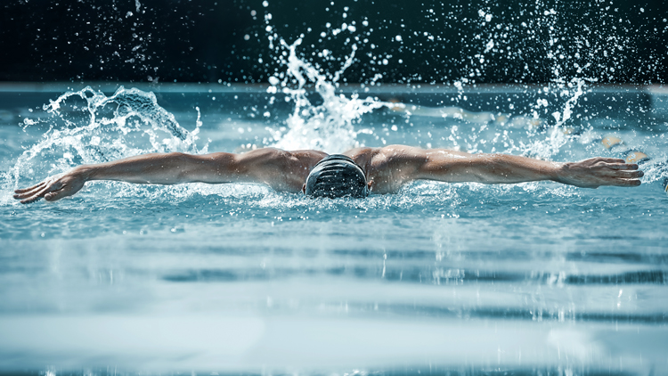 Delfinschwimmen