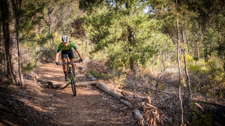 Mountainbiker mit Helm und grün-schwarzer Kleidung fährt auf einem Waldtrail bergab; umgeben von Bäumen, Büschen und trockenem Laub.
