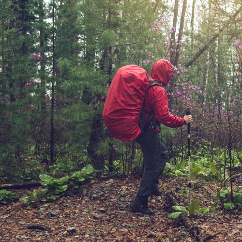 Person wandert mit Regenjacke durch den Wald
