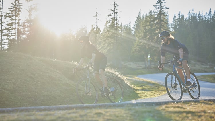 Zwei Personen auf Gravelbikes fahren auf einer kurvigen Straße durch einen sonnigen Wald; beide tragen Helme und Fahrradbekleidung.