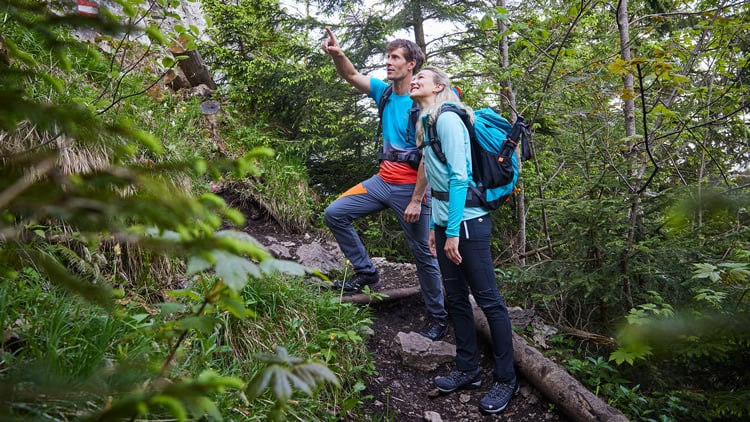 Zwei Personen wandern auf einem Waldweg, umgeben von dichter Vegetation. Eine Person zeigt nach vorne, während die andere in dieselbe Richtung blickt. Beide tragen Rucksäcke und passende Outdoor-Kleidung.
