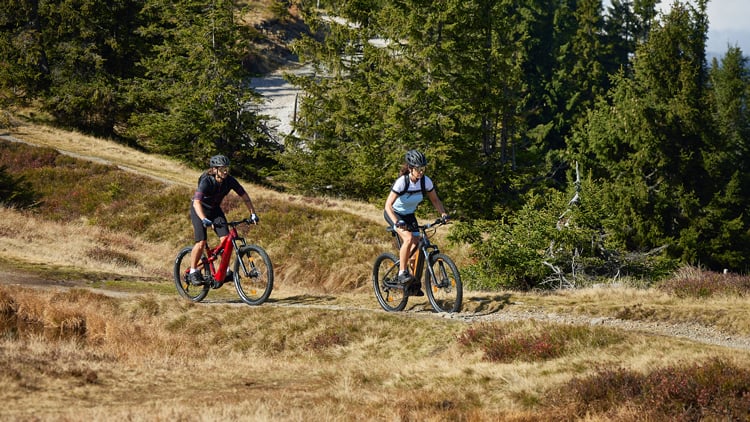 Mountainbiken