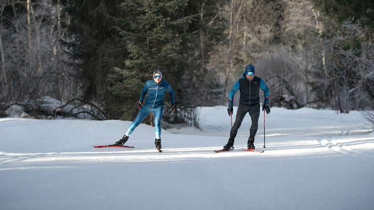 Wintersportarten