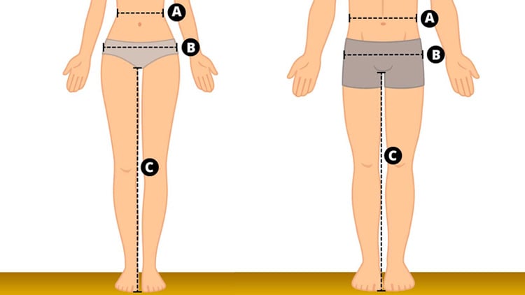 Zwei schematische Darstellungen von menschlichen Körpern mit markierten Messpunkten an Taille (A), Handgelenk (B) und Knie (C) sowie einer vertikalen Linie zur Veranschaulichung von Körperproportionen.