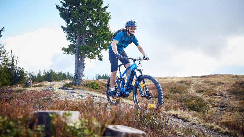 Top 20 herbstliche Mountainbike-Trailtouren 2024