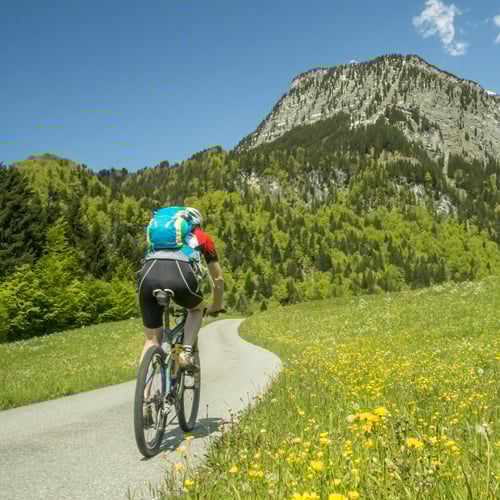 Radfahrer mit blauem Rucksack, rotem Trikot und Helm fährt auf einem asphaltierten Weg durch eine Wiese mit gelben Blumen; im Hintergrund ein bewaldeter Berg mit Felsbereichen und blauem Himmel.