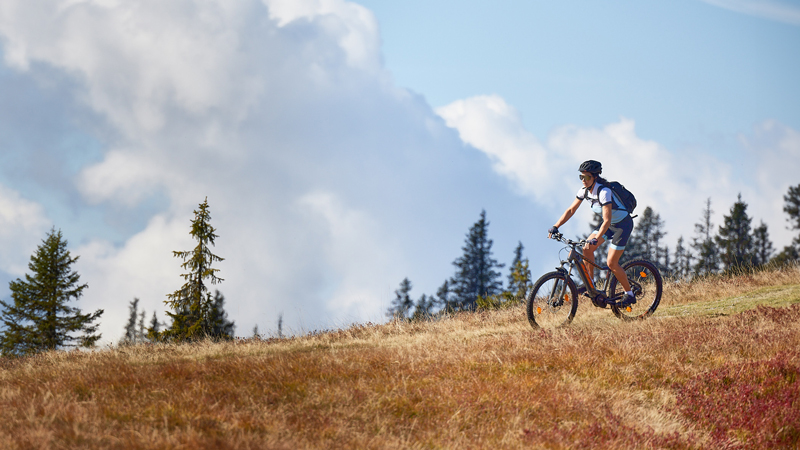 Top 20 epische MTB-Touren 2024