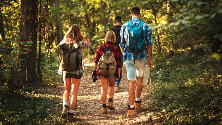 Vier Personen wandern mit Rucksäcken auf einem Waldweg.