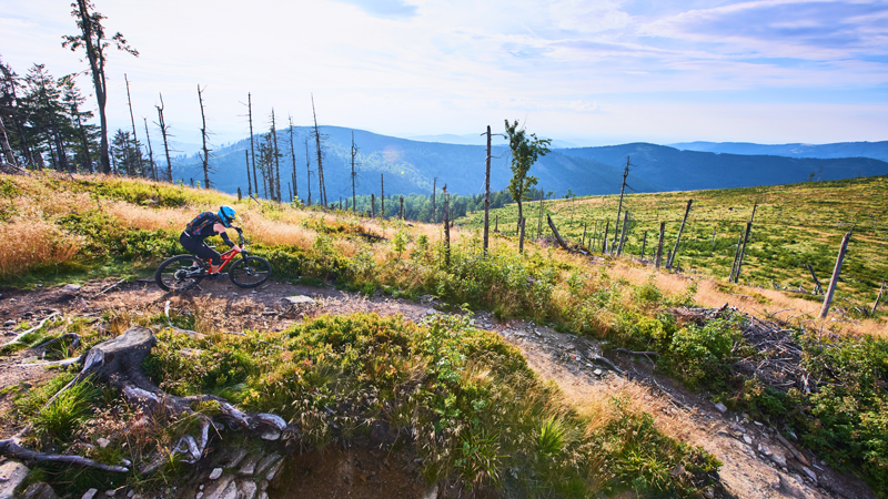 Top 20 MTB-Einsteigertrails 2024