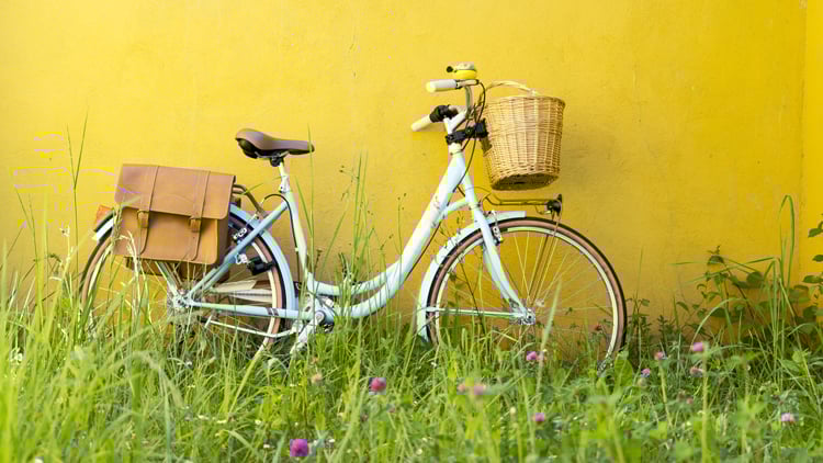 Weißes Fahrrad mit brauner Ledersatteltasche und einem Korb am Lenker lehnt an einer gelben Wand; im Vordergrund hohes grünes Gras und violette Blumen.
