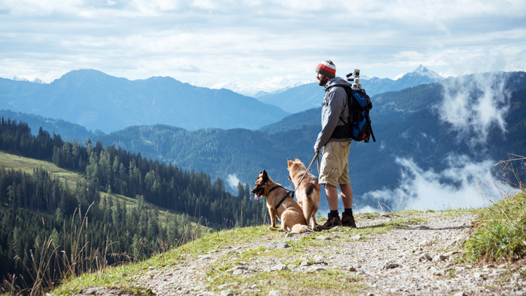 Wanderungen mit Hunden