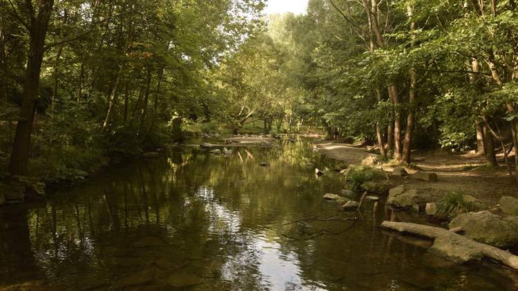 Ufer der Liesing
