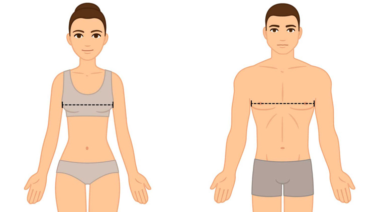 Zwei Illustrationen von menschlichen Figuren. Links eine Vorderansicht einer Person in Sport-BH und Unterwäsche mit einer gestrichelten Linie über der Brust zur Messung. Rechts eine Rückansicht einer Person in Shorts mit einer gestrichelten Linie über dem oberen Rücken zur Messung