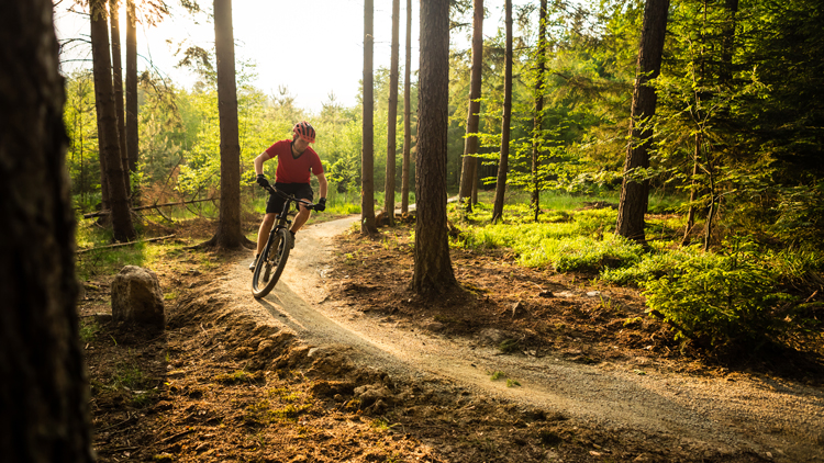 Radtouren für Mountainbiker