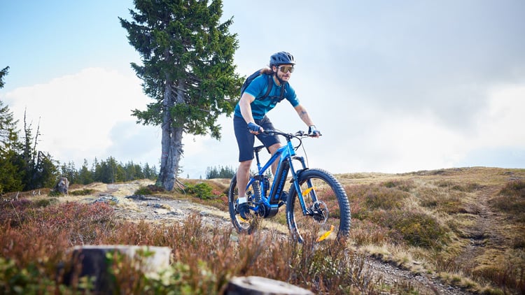 E-Bikes