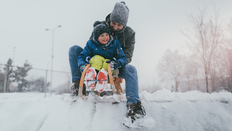 Schlittenfahren Schlittenfahren