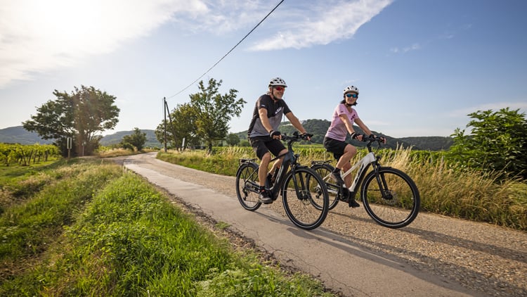 Zwei Personen fahren mit Trekking-E-Bikes der Marke KTM auf einem asphaltierten Weg durch eine grüne Landschaft mit Bäumen und Hügeln im Hintergrund; beide tragen Helme und Freizeitkleidung, der Himmel ist leicht bewölkt.