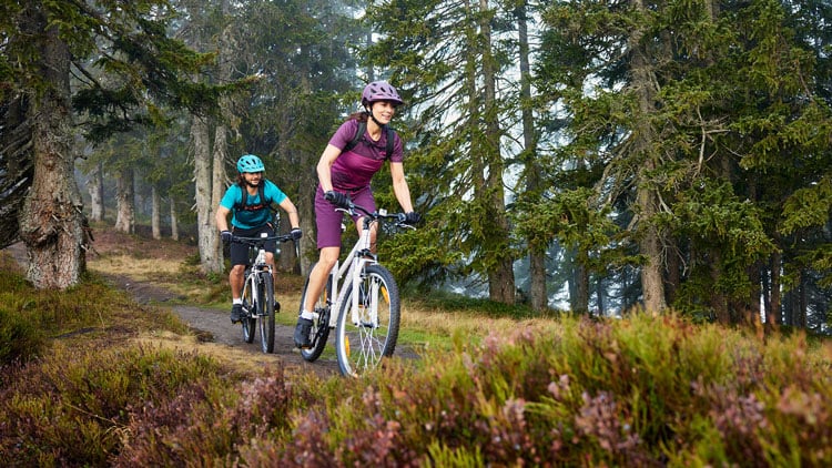 Zwei Mountainbiker auf einem Waldtrail, umgeben von hohen Bäumen und dichter Vegetation; vorne eine Person in lila Fahhradbekleidung, dahinter eine in blauer Fahrradbekleidung.